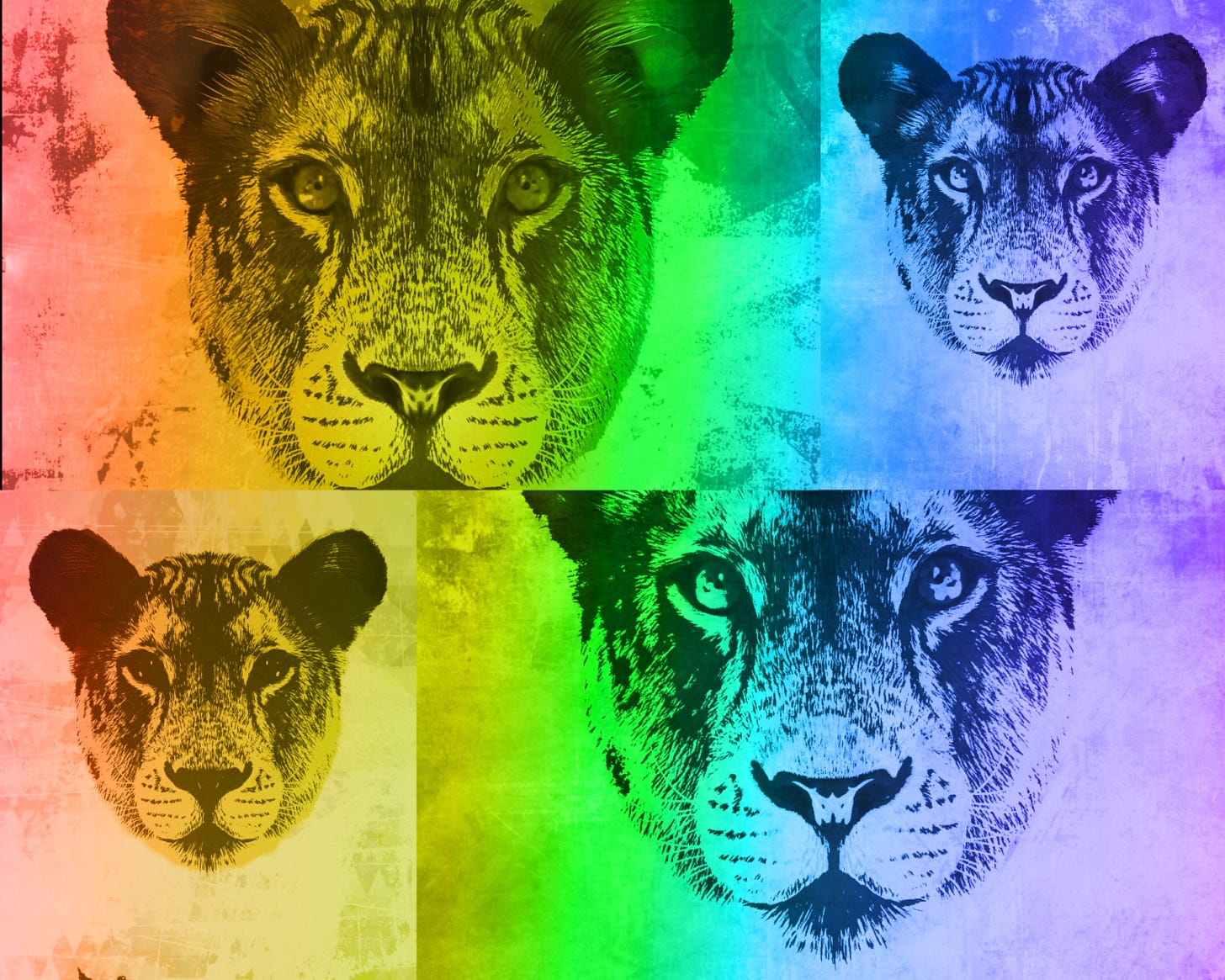 Four artistic lion faces arranged in a quadrant, each overlaid with vibrant gradients from the rainbow spectrum. The lions appear hand-drawn, their expressions calm, regal, and alert. Each section glows with a different range of hues—warm reds, cool blues, earthy greens, and soft purples—symbolizing strength through multiplicity and presence through transformation.