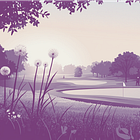 Golf Course Proximity and Parkinson’s Risk