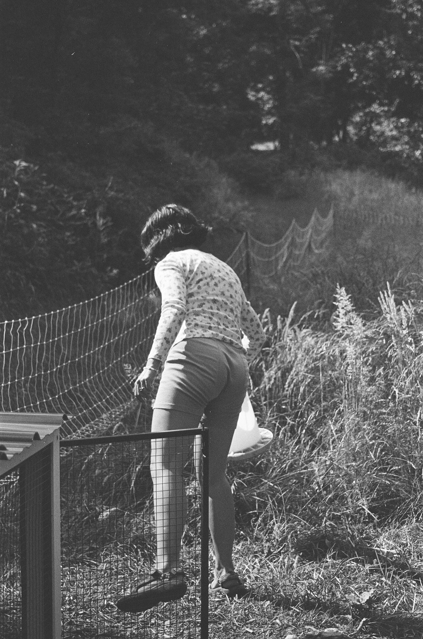 woman feeding chickens, chicken feed, homestead, chickens, organic, gardening, farming, black and white