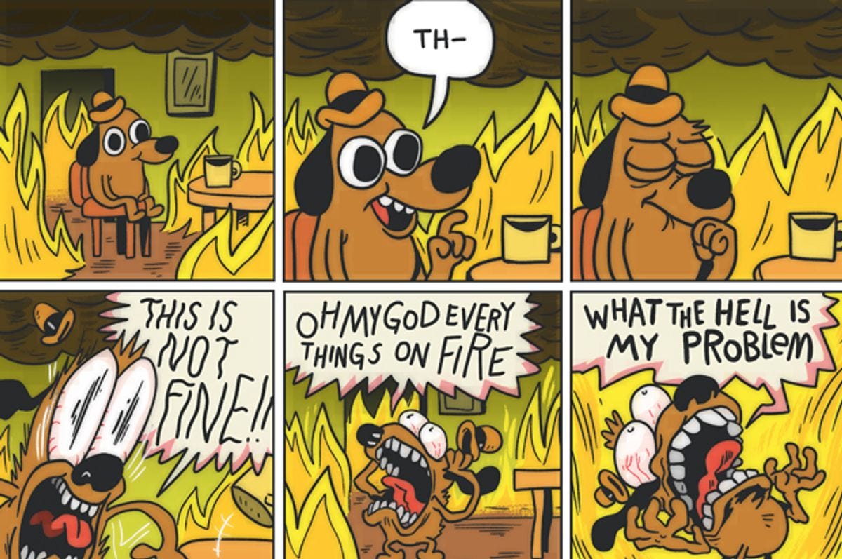 This is fine" cartoonist on why it's not fine, after all: It's "a response  to how weird and bad 2016 has made me feel" | Salon.com