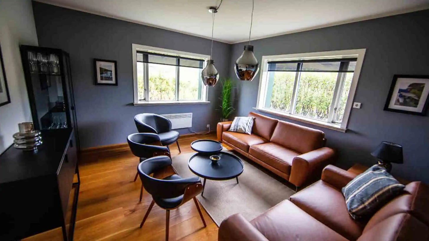Leather Couches in Blue Living Room