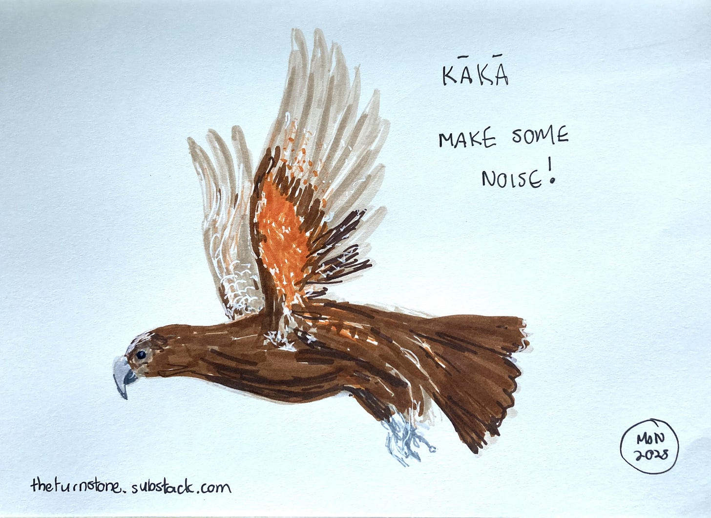 A felt pen drawing of a large, brown parrot in flight, orange under the wings, caption "make some noise"