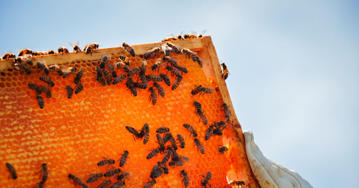 Image from Adobe Stock Image from Adobe Stock