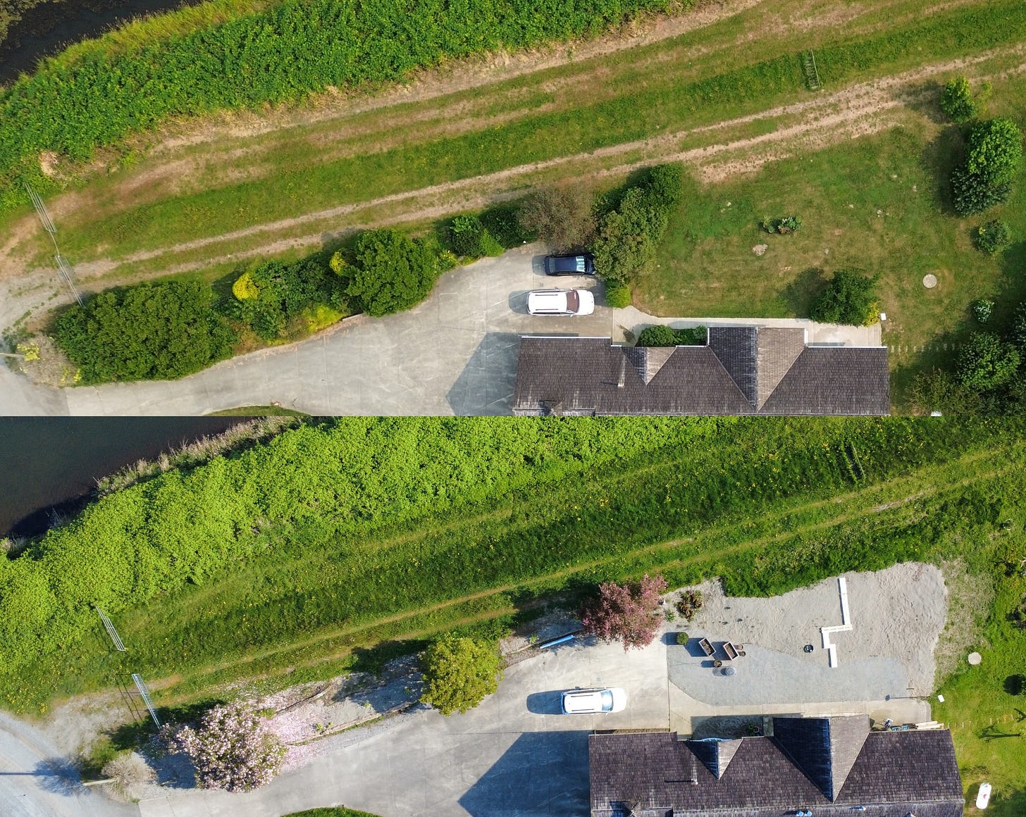 before and after sand garden