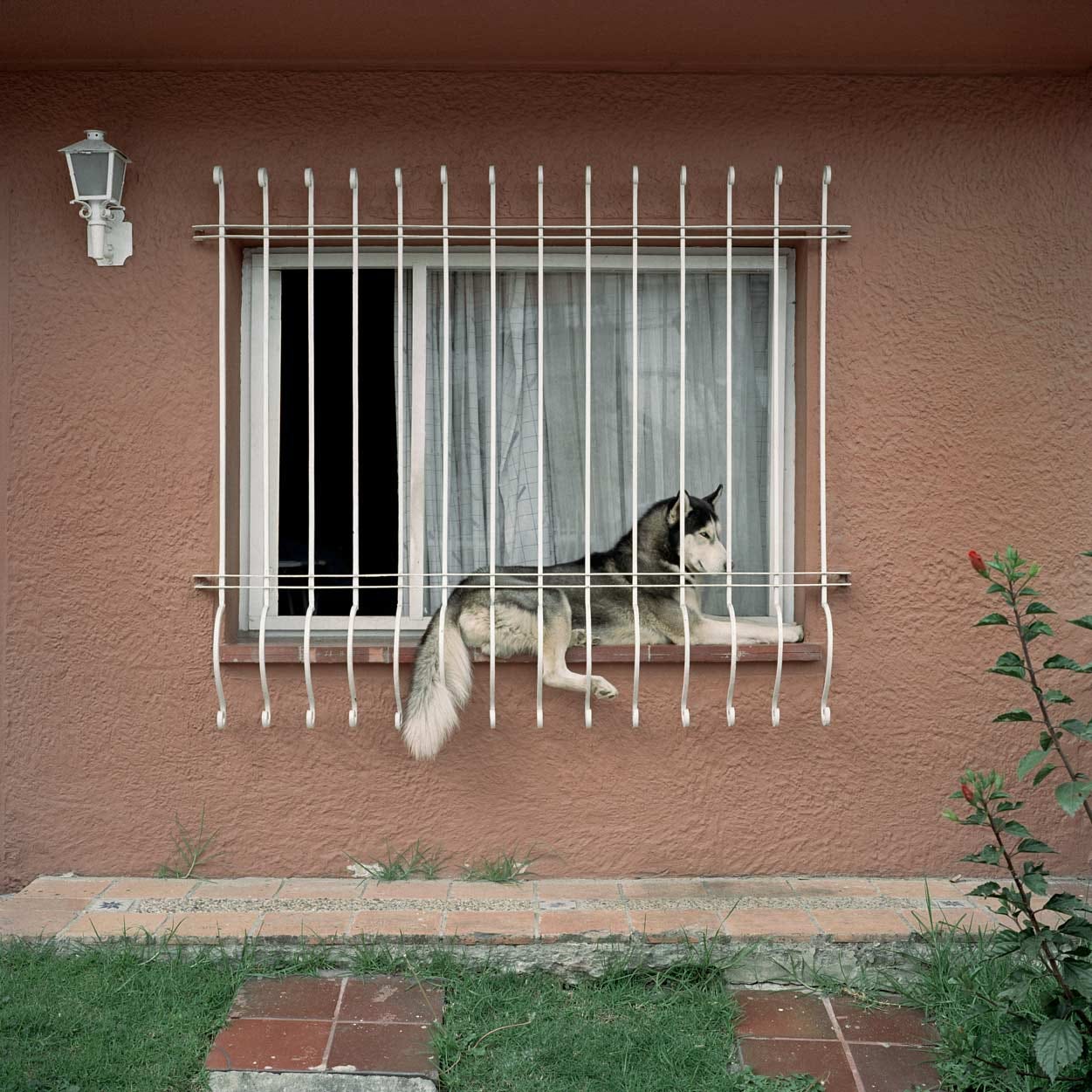Alec Soth - by Bailey Richardson - Art Dogs