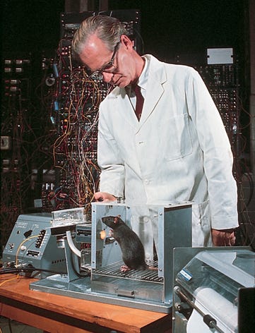c04_fig10.jpg
