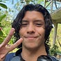 David's avatar