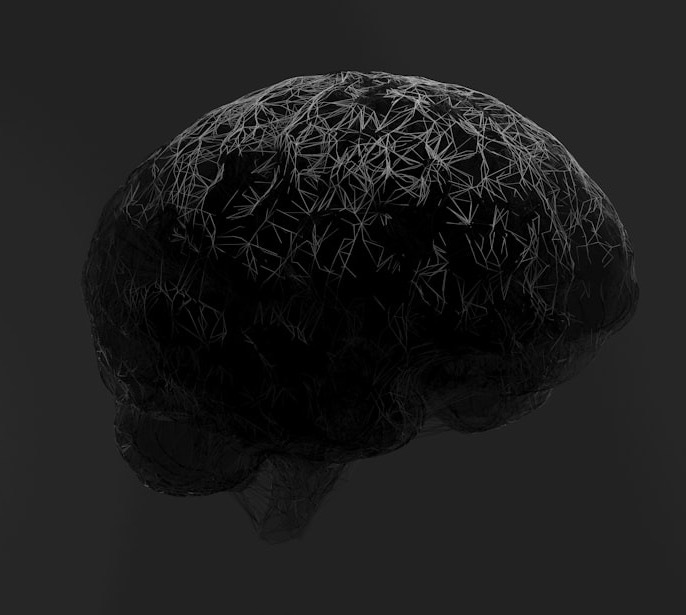 A black and white photo of a brain A black and white photo of a brain