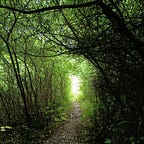 A Wild Green Heart 