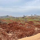 Puppets, bread, and circuses