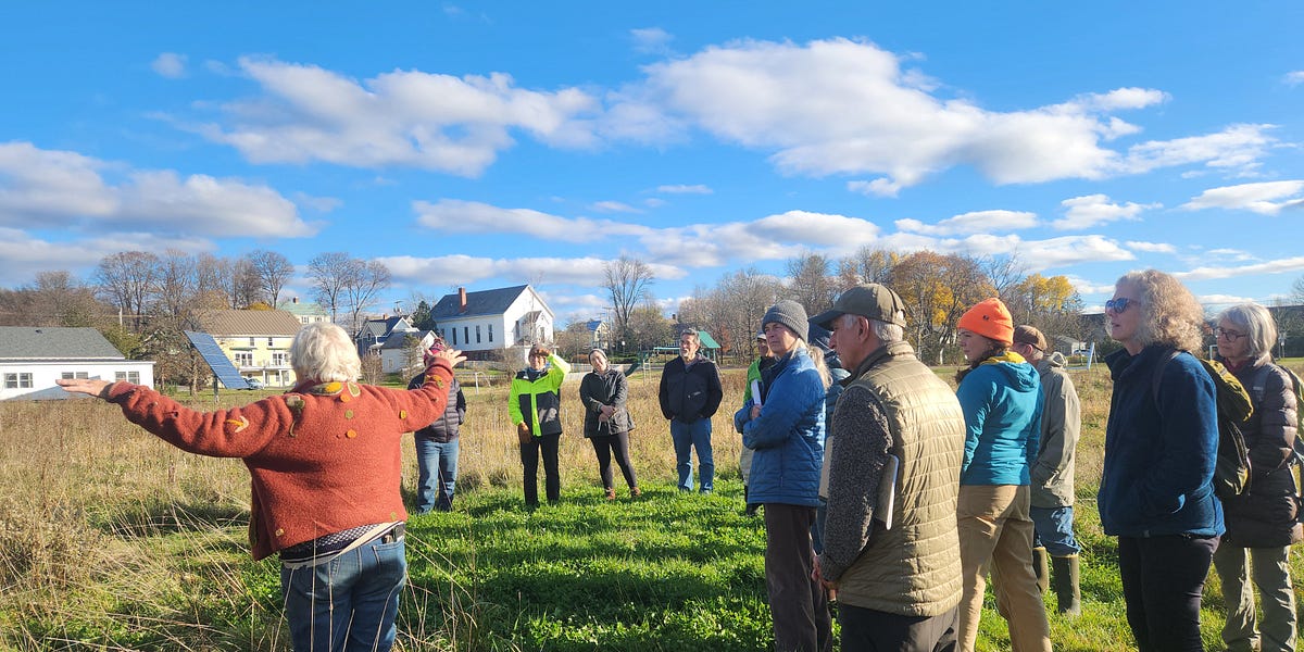 Lewis Creek Association Gives Residents Tour of Hinesburg Restoration Projects