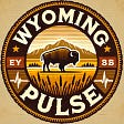Wyoming Pulse's avatar