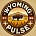 Wyoming Pulse's avatar