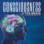 Consciousness & The Brain