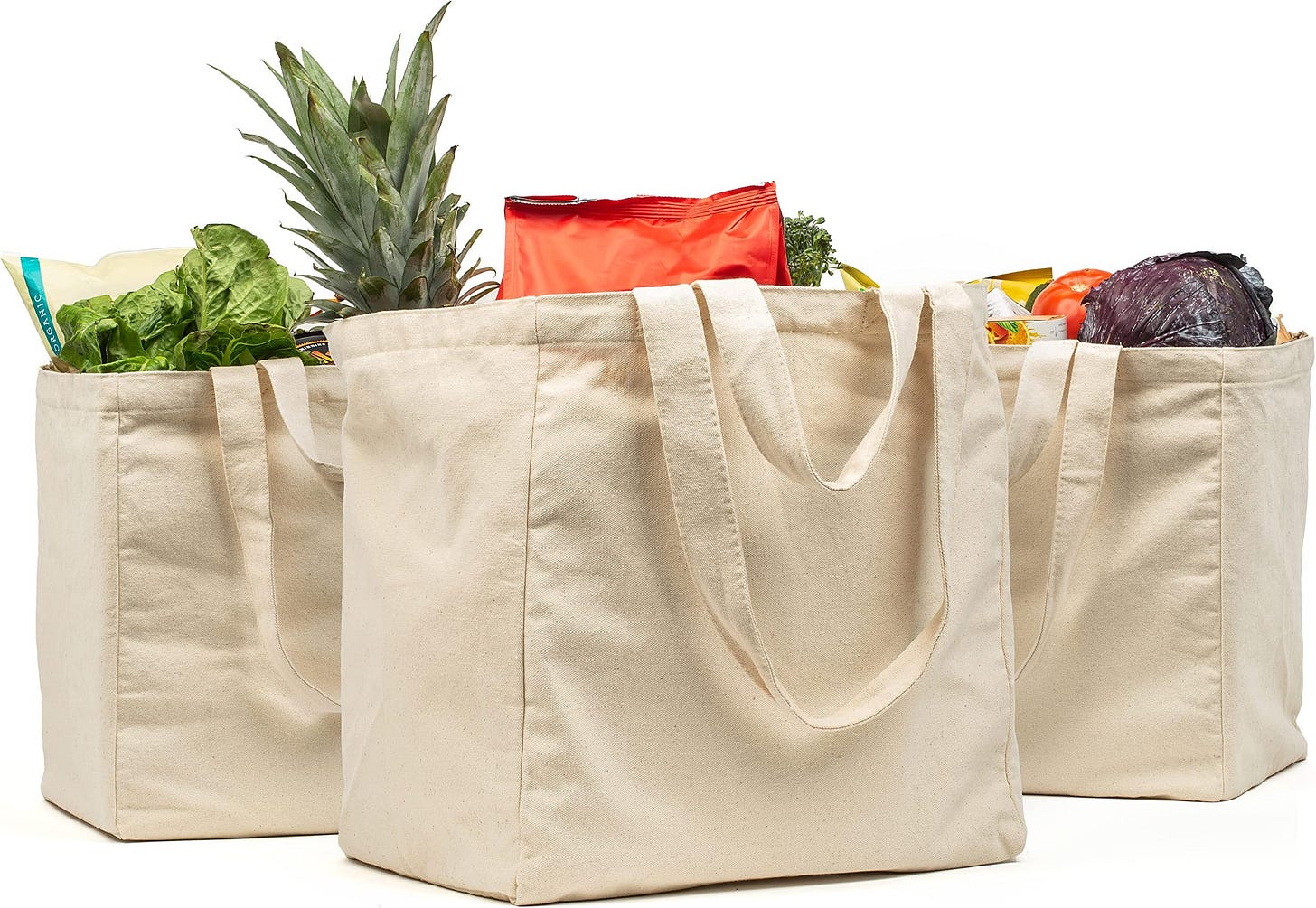 Amazon.com: 20 Sturdy Reusable Grocery Bags Made From RipStop Nylon ...