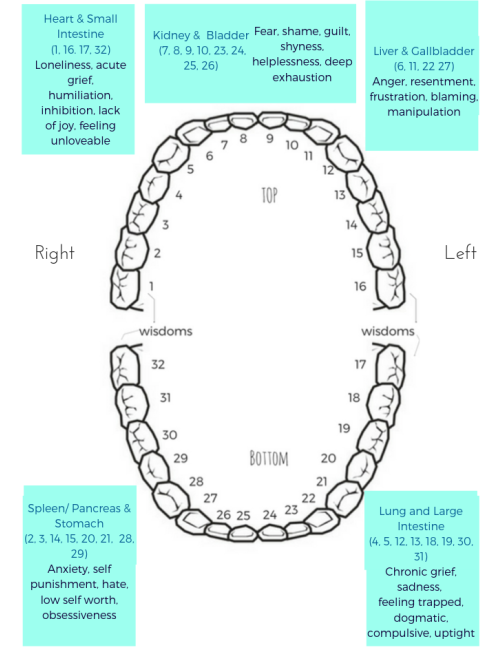 Spirtual Meaning of Teeth |Holistic Oral Health| Raina Dental Care