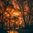 FICTION - Overgrowth