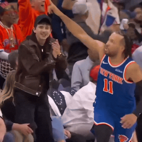 Timothee cheering in the crowd at a Knicks game