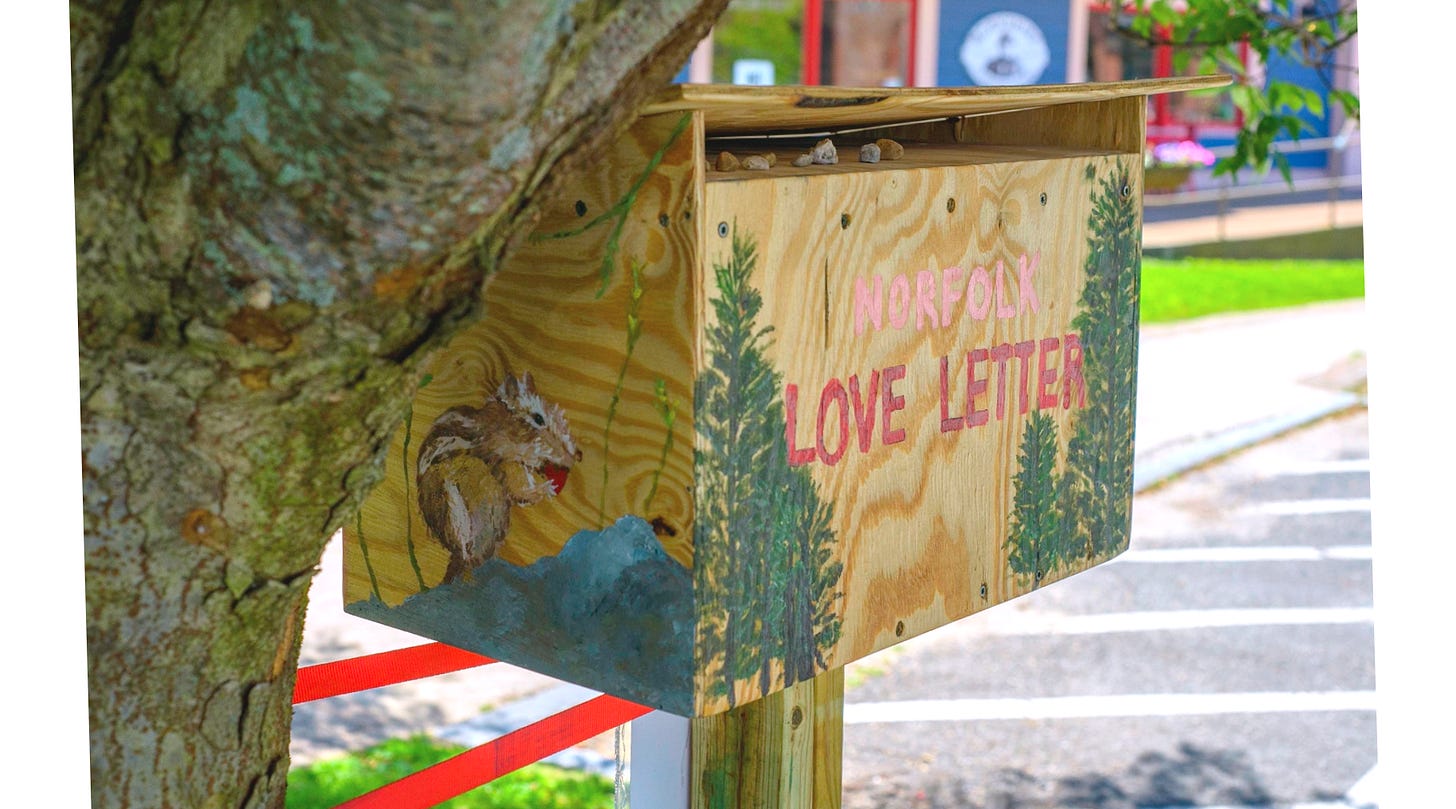 A wooden letter box that says norfolk Loveletter and has a drawing of a squerrel and trees.