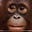 Richard McSharry's avatar