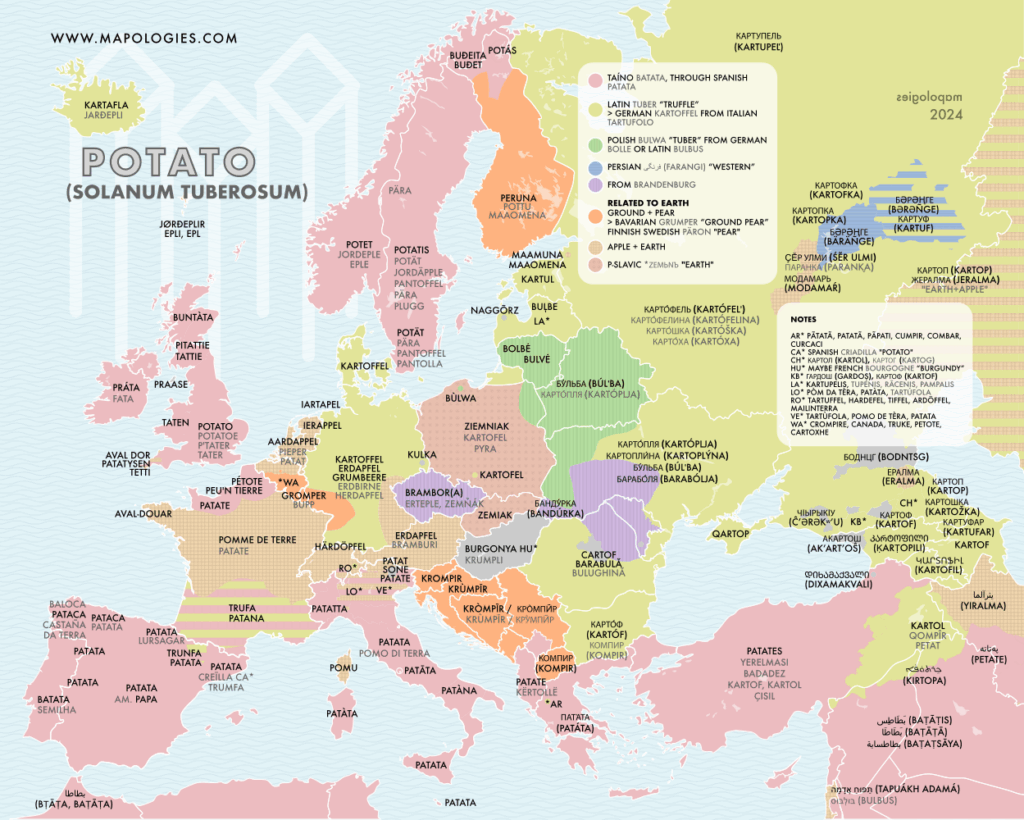 Mapa lingüístico de la patata (2024)