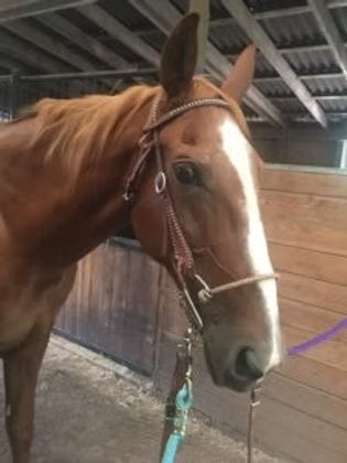 How’d you break your wrist, Higgins?