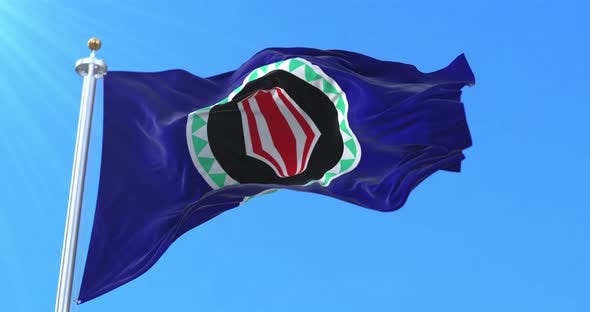 Flag of Bougainville, Papua New Guinea, Motion Graphics | VideoHive