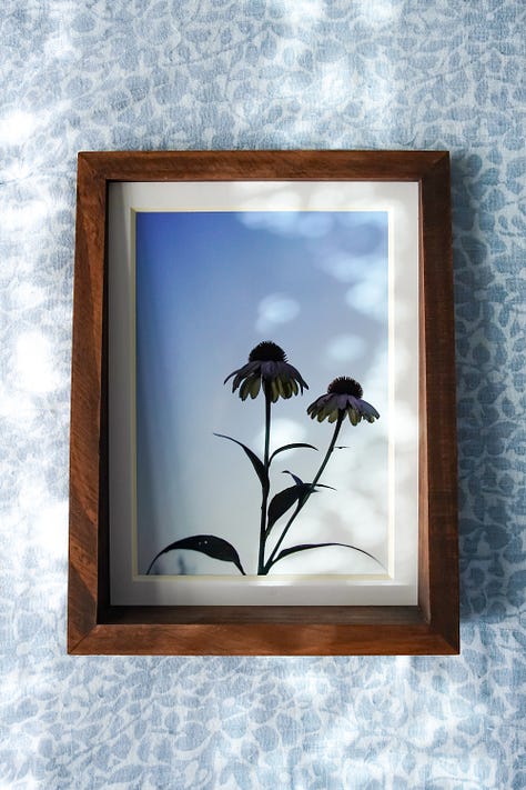 a variety of framed prints taken in the garden