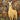 Technollama's avatar