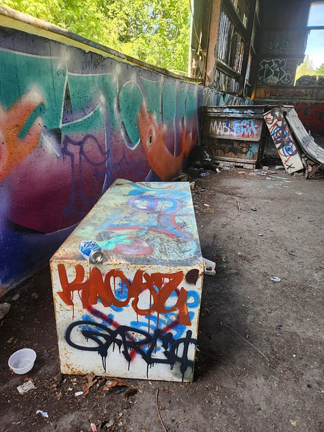 Graffiti covers skate ramps, old buildings and an underpass.