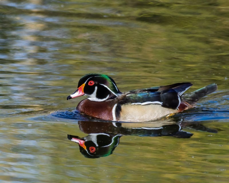 20180205_Sweetwater-13-Edit.jpg 20180205_Sweetwater-13-Edit.jpg