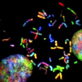 Efferocytosis And Its Oft-Unstated Role In Artery Clogging.