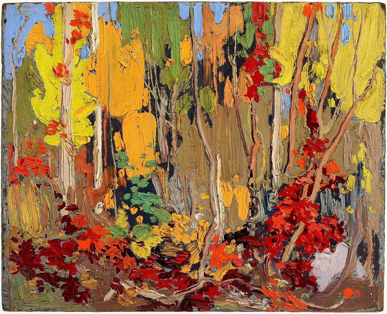 A screen of scarlet and gold maple over a cold blue lake A screen of scarlet and gold maple over a cold blue lake