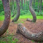 Δεν υπάρχει τίποτε το φυσικό στον σοσιαλισμό 