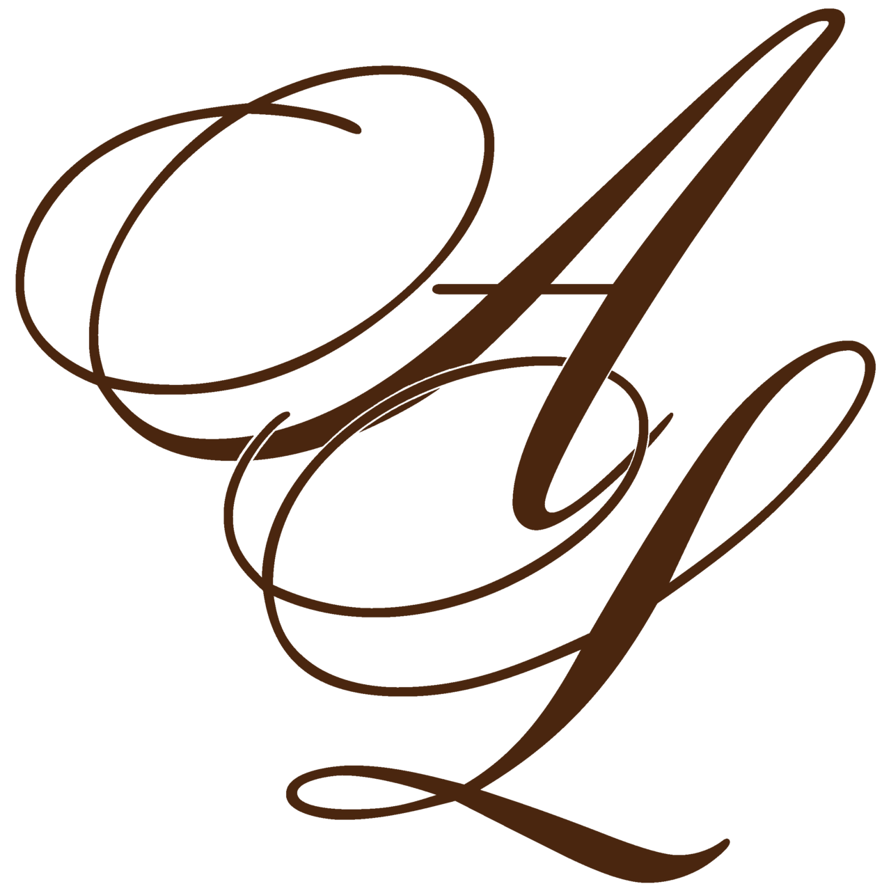 The Writing Chronicles