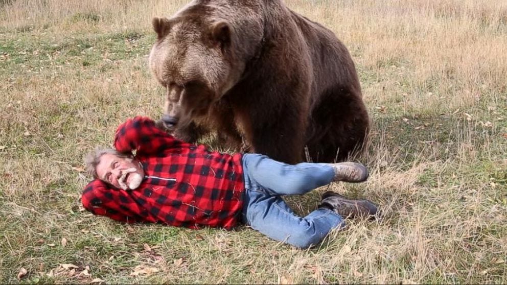 The Best Way to Survive a Bear Encounter Video - ABC News The Best Way to Survive a Bear Encounter Video - ABC News