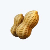 Substack profile picture for @standards