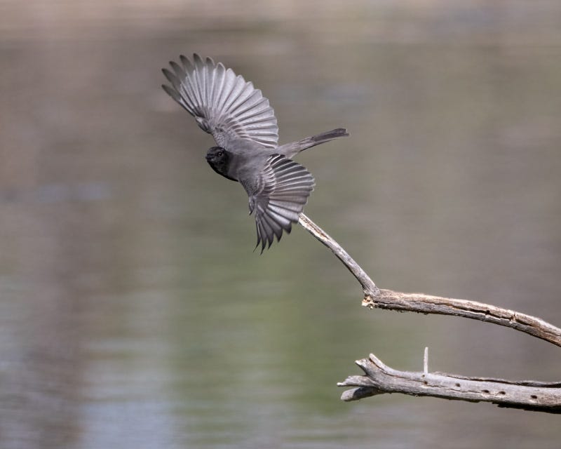 untitled-102-Edit.jpg