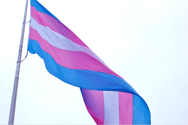 Australia’s bishops unveil gender and identity guide for schools Australia’s bishops unveil gender and identity guide for schools