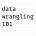 Data Wrangling 101's avatar