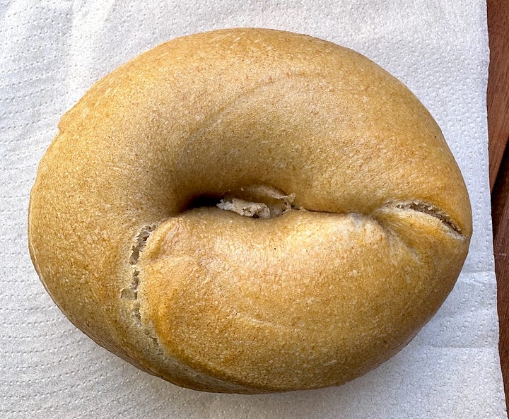 Tops of Breadwinner's plain and everything bagels