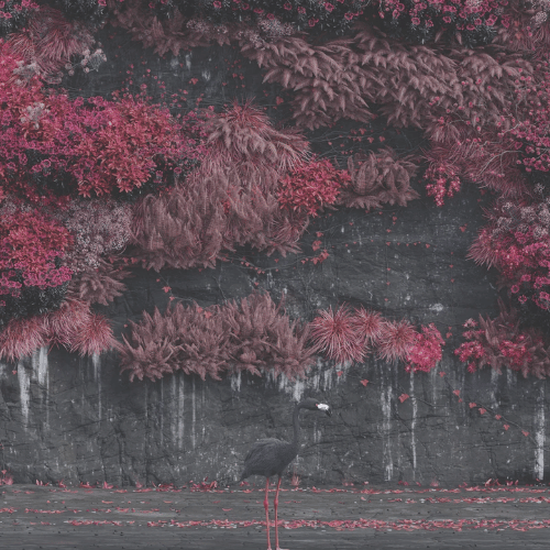 Even In Arcadia Cover