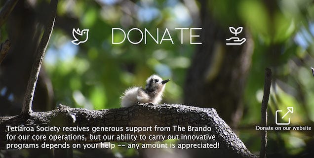 donate