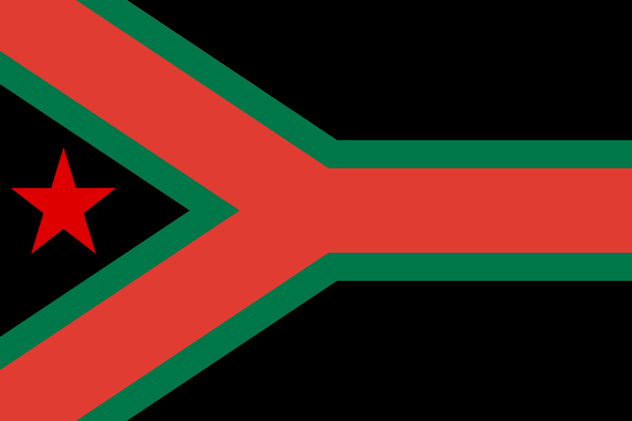 r/vexillology - Flag of EFF (Economic Freedom Fighters) controlled South Africa