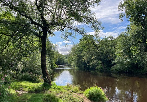 Views of Knaresborough and the River Nidd