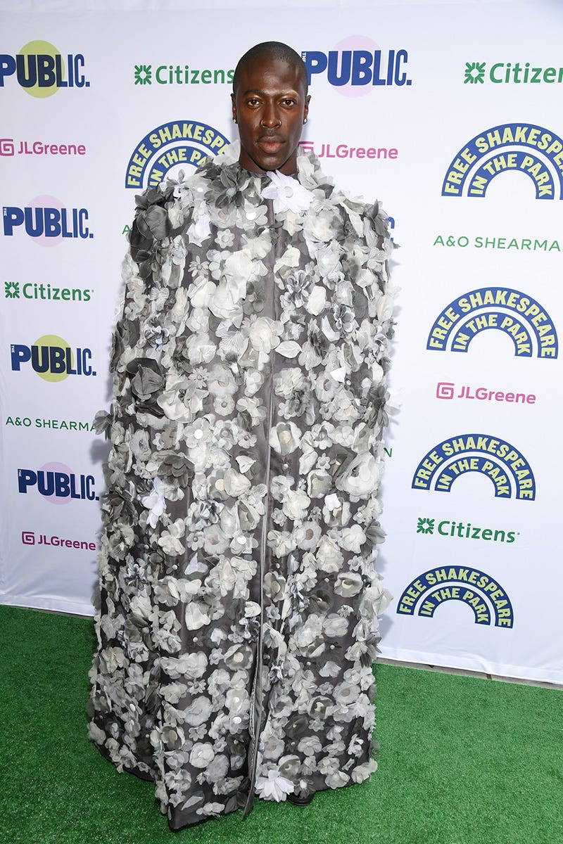 Shakespeare in the Park's 'Twelfth Night' Opening Night: Style Photos