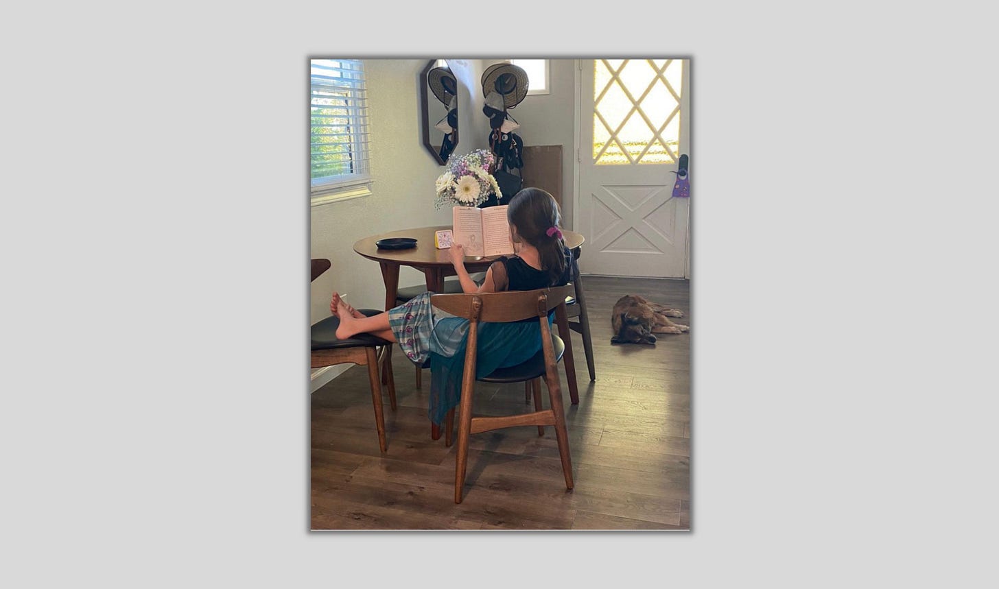 A cena mostra uma sala iluminada. Uma menina está sentada de costas para nós em uma cadeira de madeira. Ela lê um livro aberto, com uma imagem visível. Seu traje inclui uma blusa preta sem mangas e uma saia longa azul com estampas circulares. Ela usa um elástico rosa no cabelo, preso em um rabo de cavalo. Sua postura é relaxada, com os pés descalços sobre outra cadeira.  À esquerda, sobre uma mesa redonda, há um buquê de flores brancas e roxas. No fundo, chapéus pendurados e uma porta com design cruzado. No canto direito, um cão marrom repousa no chão, próximo a um tapete. A atmosfera é calma e caseira.