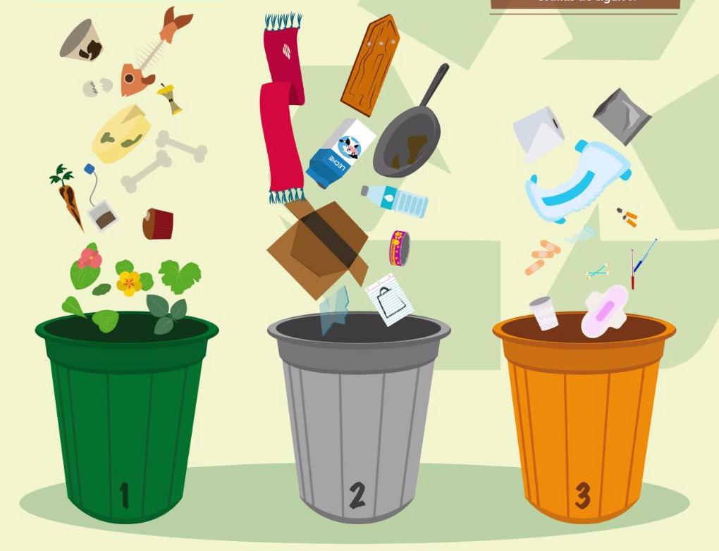 Infographic of CDMX trash separation colors 2026