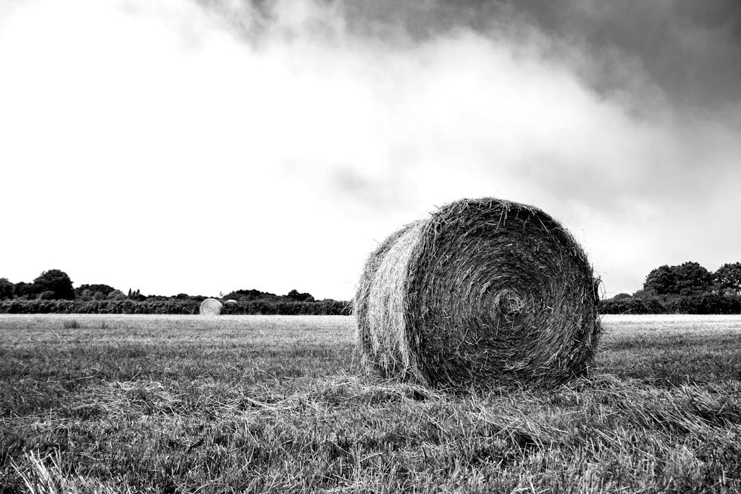 brown grass field under white clouds during daytime brown grass field under white clouds during daytime
