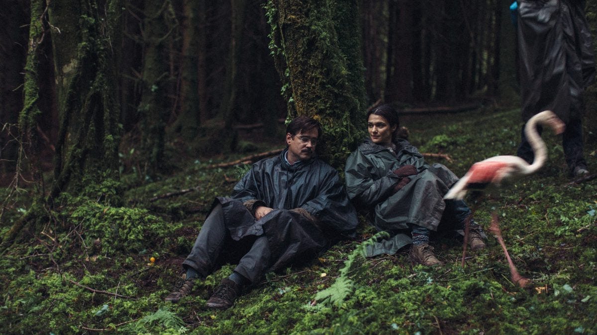 The Lobster: A Nuanced Breakdown | by Mitali Mandal | Medium